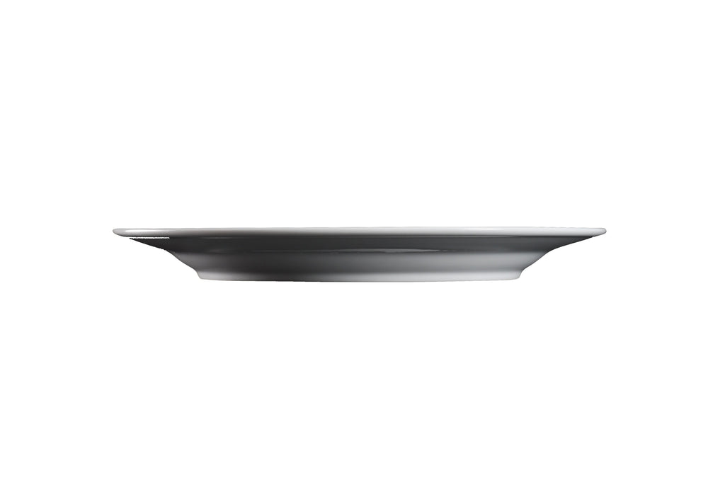 DS-37E98DE2C2 – 12’’ Charger Plate