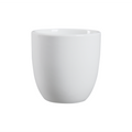 DS-DB6E9B0B28- Tea cup 8 Oz.