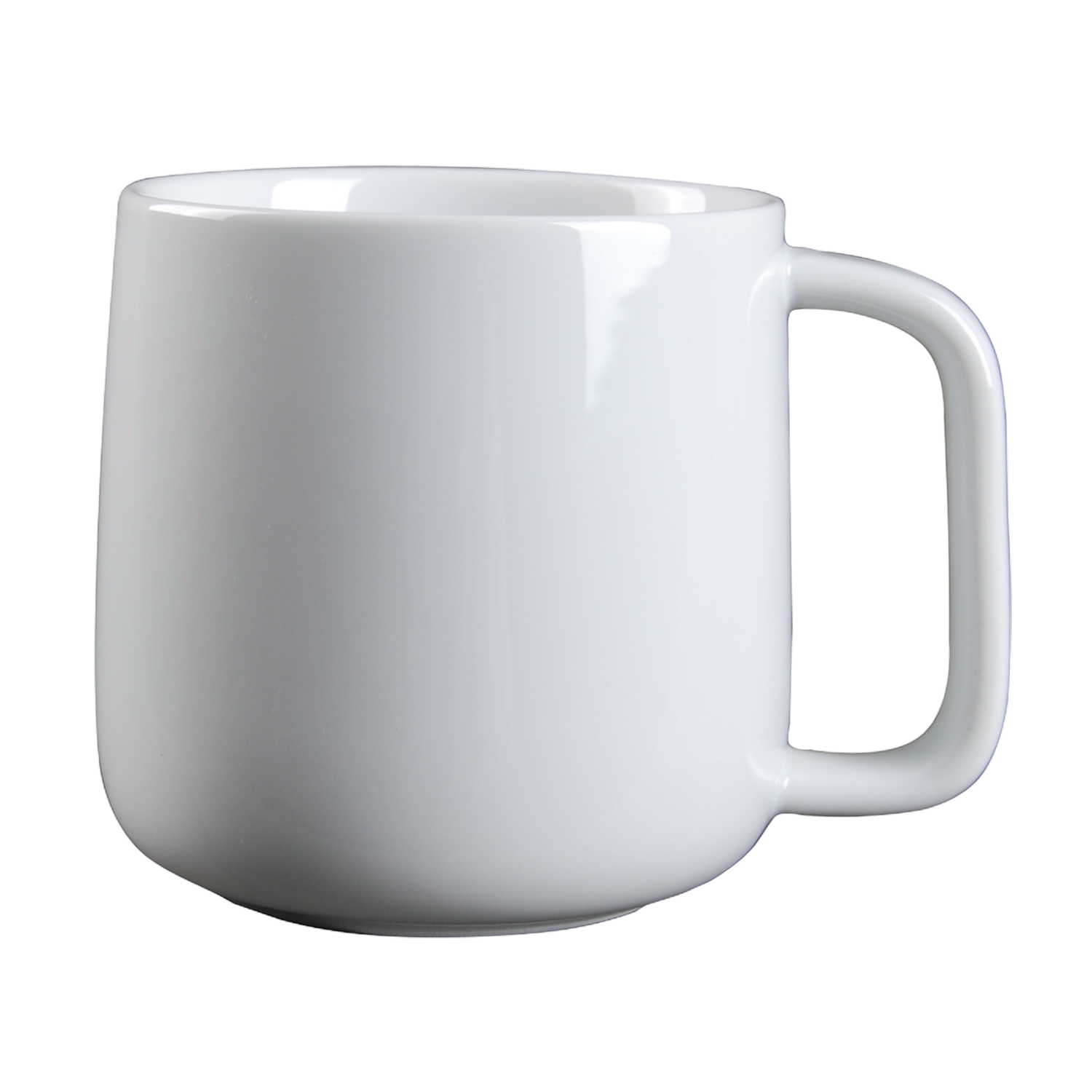 DS-A7D86E2DA6 - Mug 14 Oz.