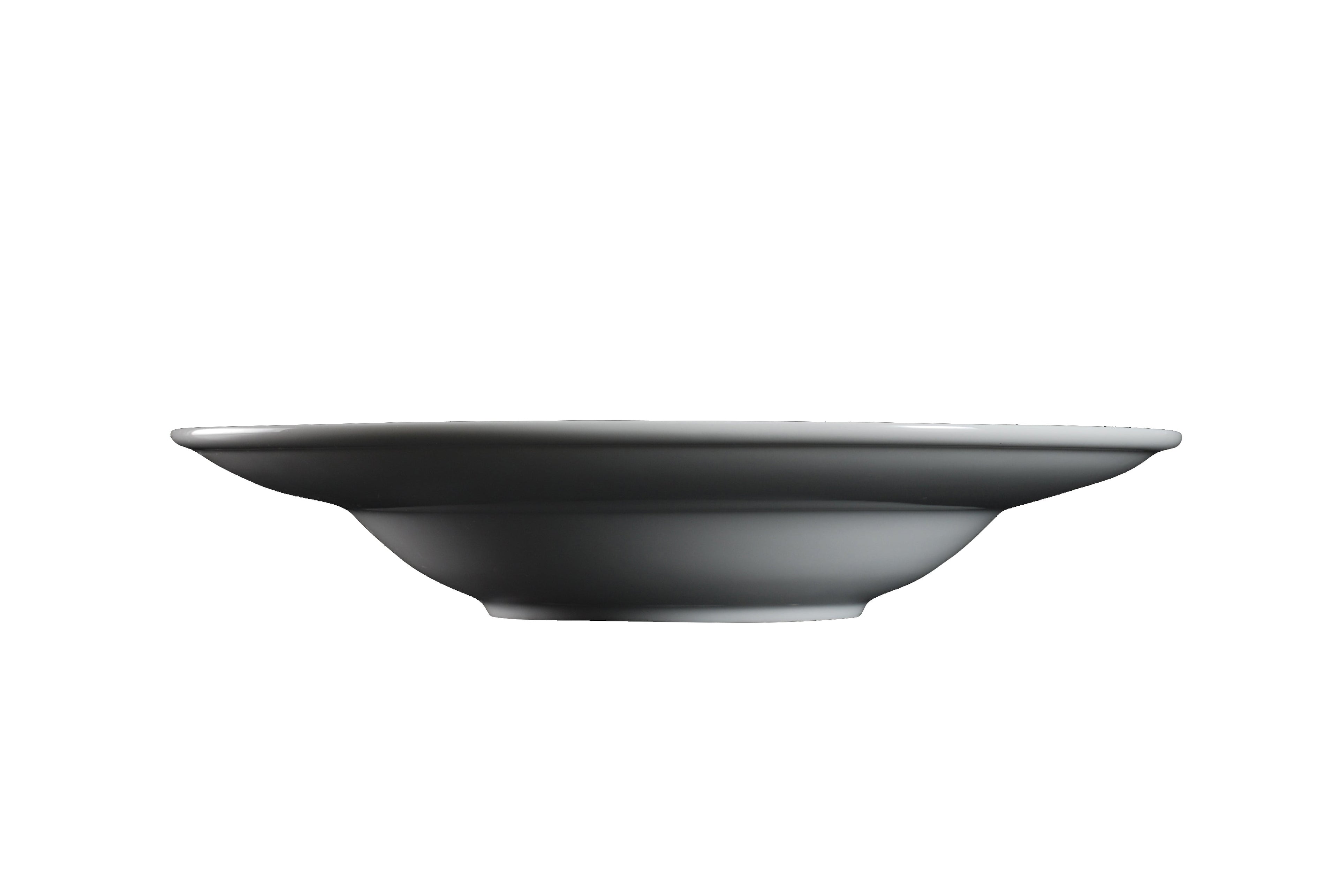 DS-A890C8CA8E – 12’’ Wide Rim Pasta Plate 16 Oz.