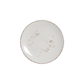 DS-2BCA3F6968 – 8’’ Coupe Plate Splash Blanch