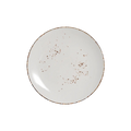 DS-31386B820F – 9’’ Coupe Plate Splash Blanch