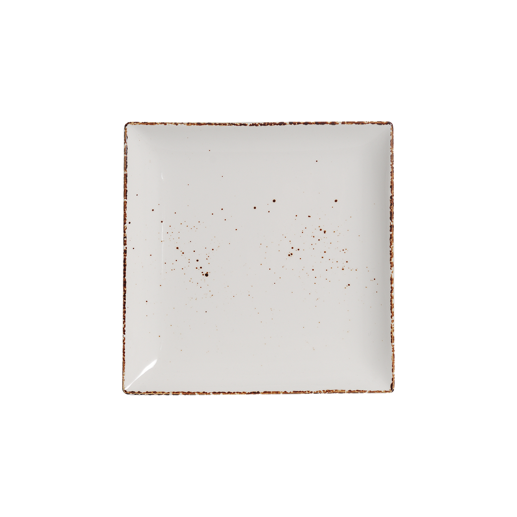 DS-1C1FE722A0 – 8’’ Square Plate Splash Blanch