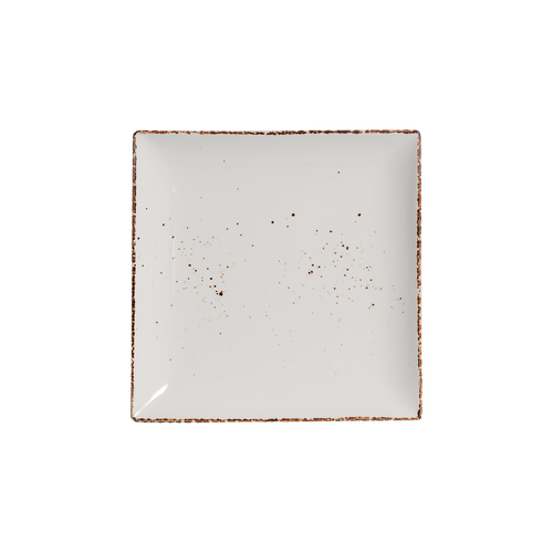 DS-1C1FE722A0 – 8’’ Square Plate Splash Blanch