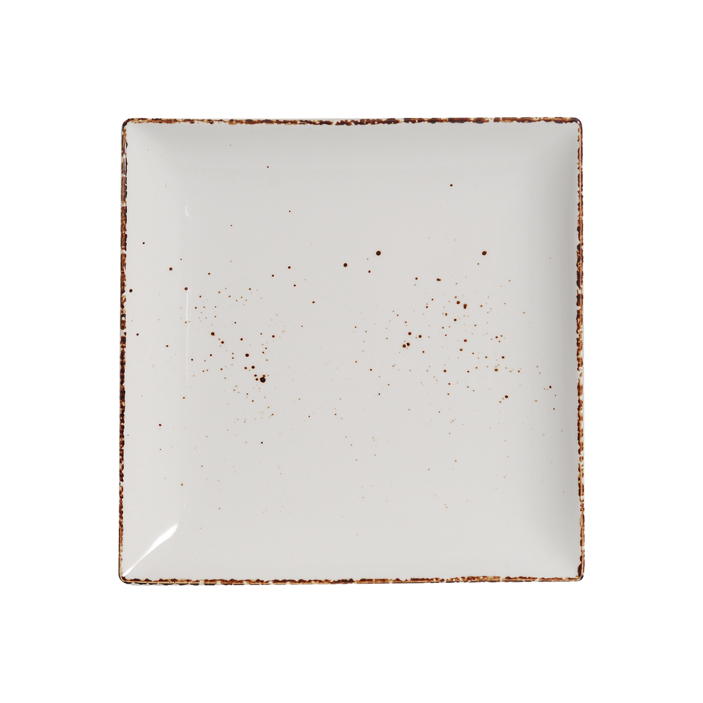 DS-7DFF4EB0C9 – 10’’ Square Plate Splash Blanch
