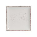 DS-7DFF4EB0C9 – 10’’ Square Plate Splash Blanch