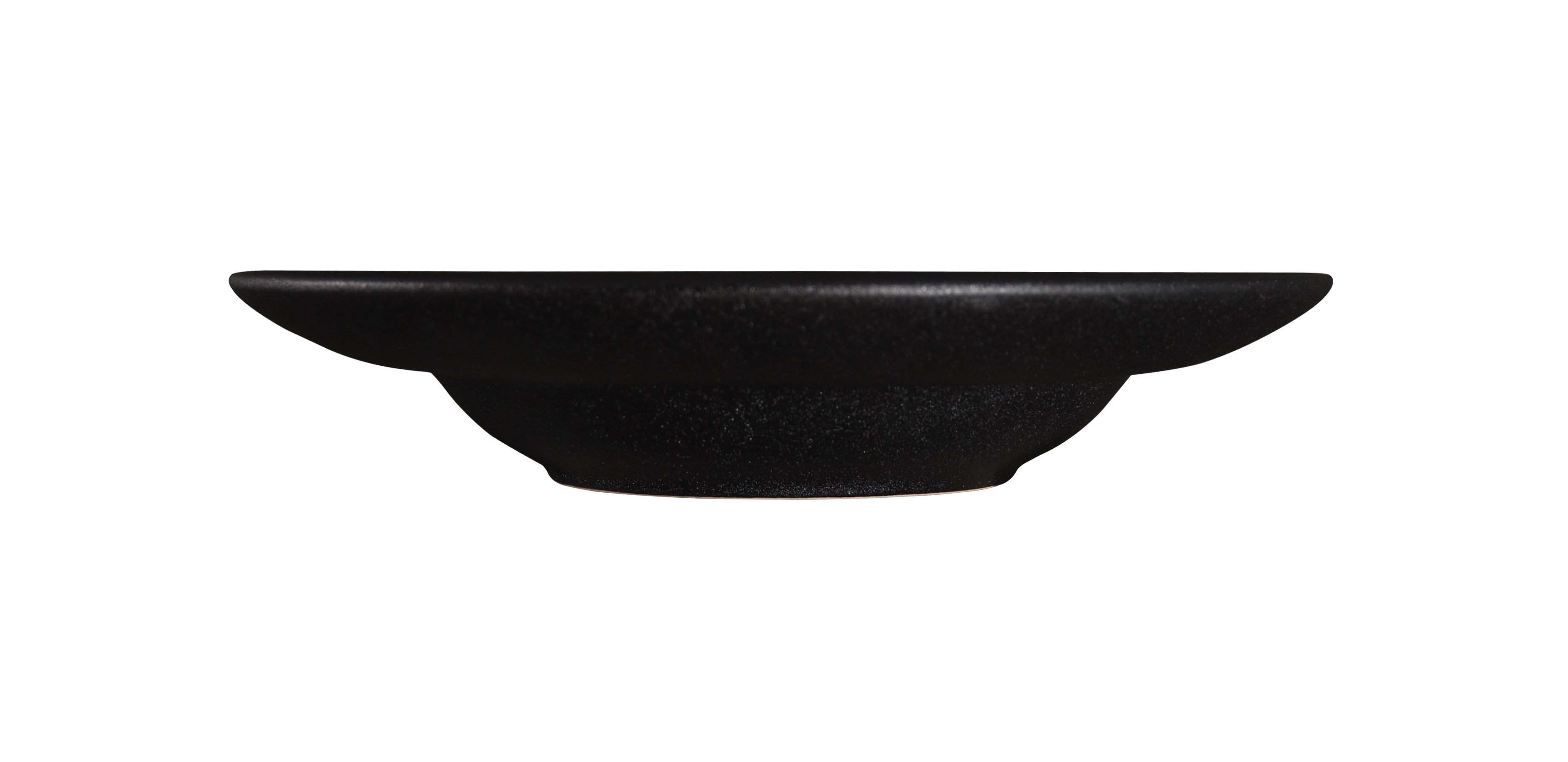 DS-36C58D52F8 – 10’’ Wide Rim Bowl 12 Oz.