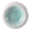 DS-1E2232F938