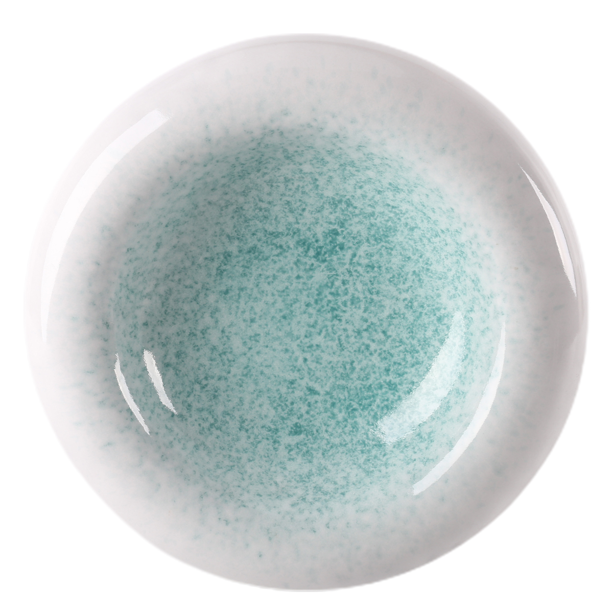 DS-AA117E4C51