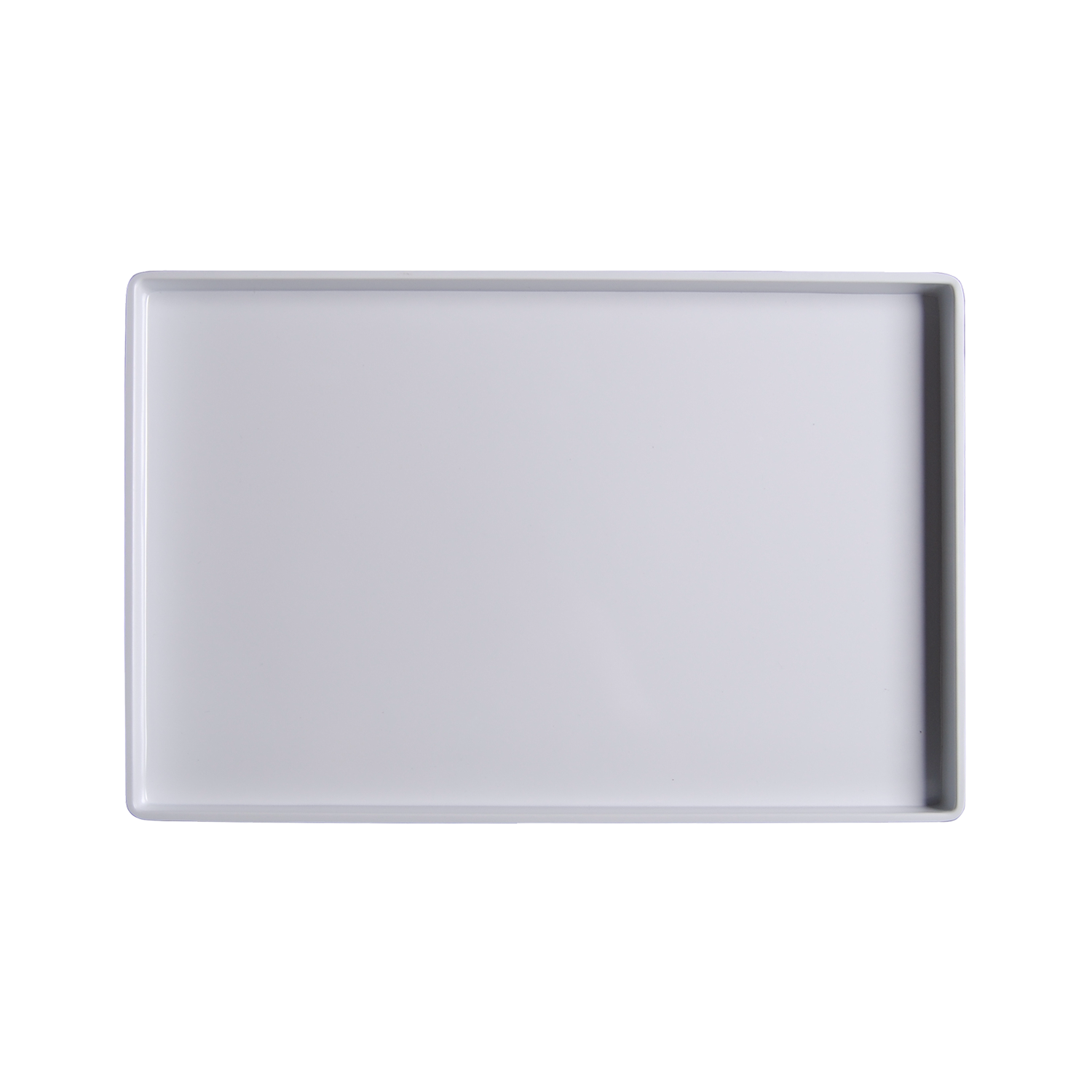 DS-2B1EA30137 16 x 10.75-inch Rectangular Pan Tray